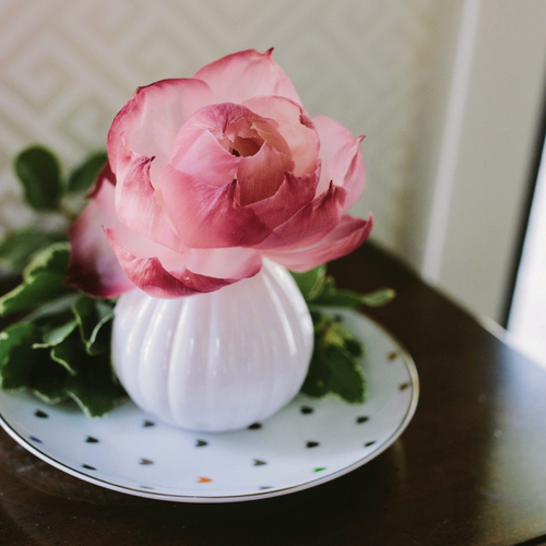 Mother's Day Gift Ideas