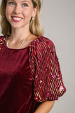 Velvet Sequin Puff Sleeve Top | Wine