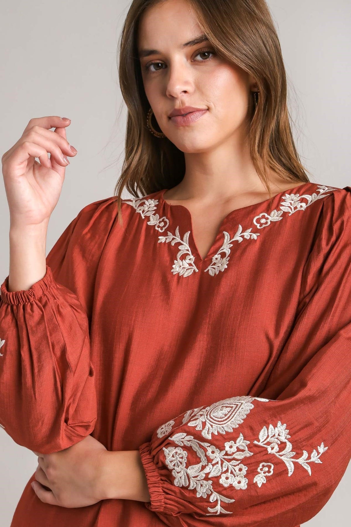 Embroidered Balloon Sleeve Dress | Brick