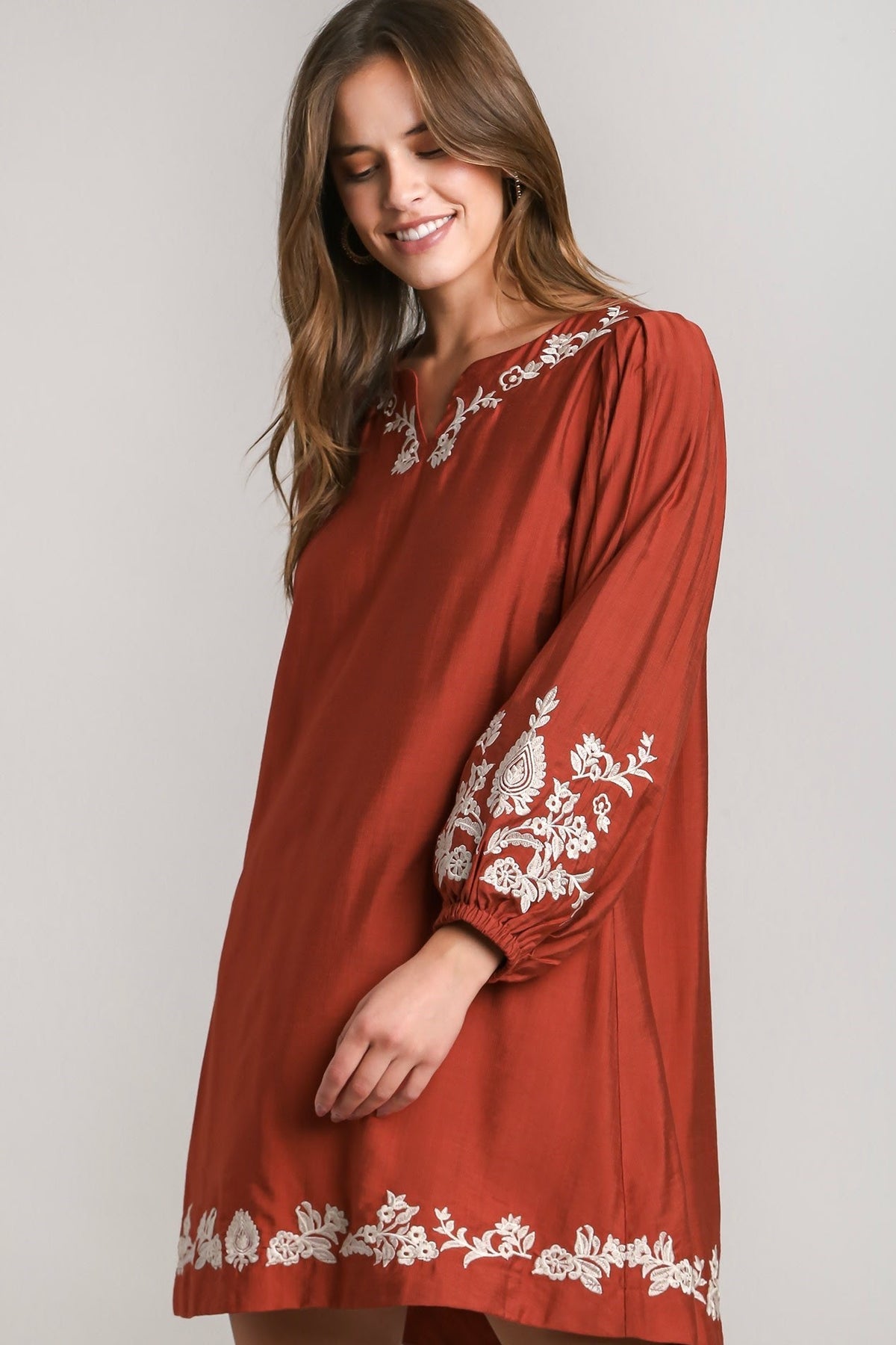 Embroidered Balloon Sleeve Dress | Brick