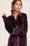 Button Front Velvet Dress | Amethyst