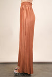 Wide Leg Pleated Pants | Camel
