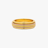 PURA VIDA Ring | Pastel Stripe Fidget Gold