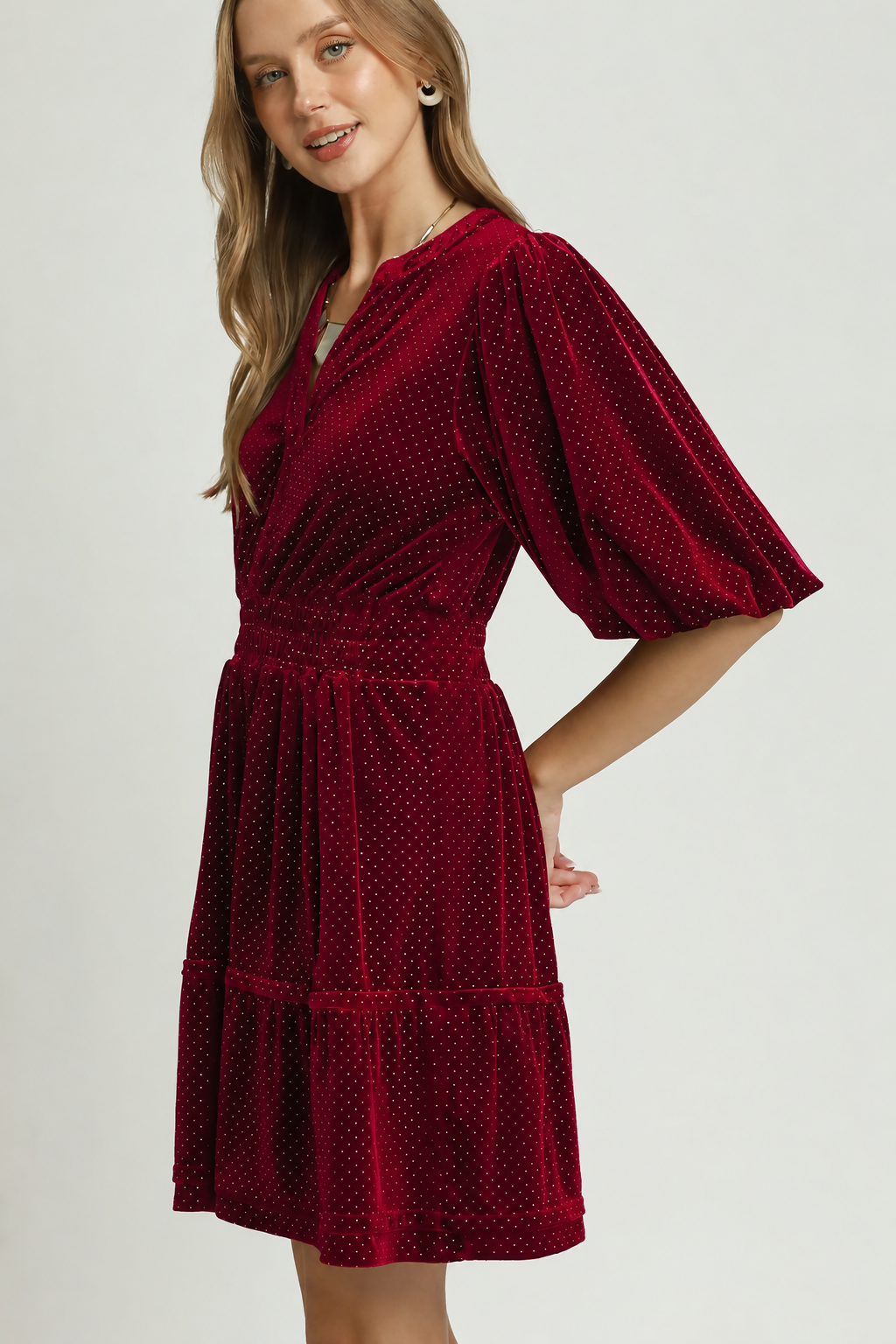 Velvet Swiss Dot Tiered Dress | Wine