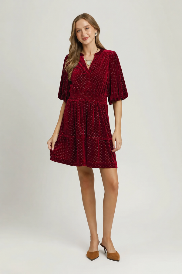 Velvet Swiss Dot Tiered Dress | Wine