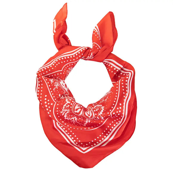 Silky Wild Rag Scarf | Red