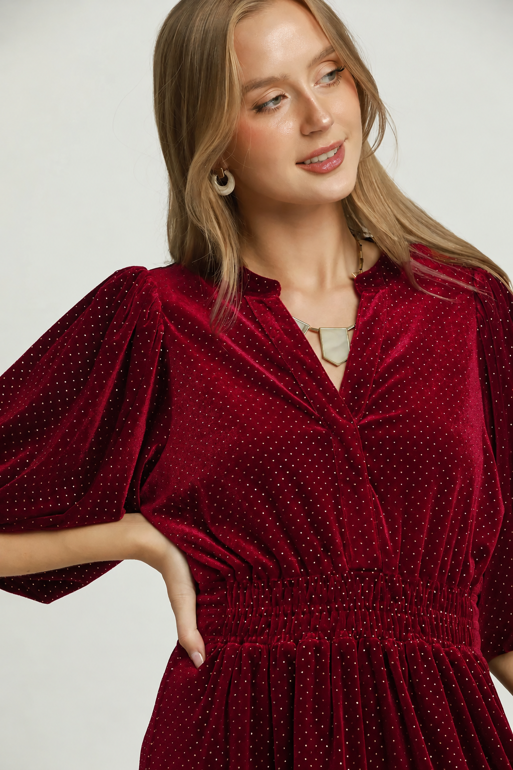 Velvet Swiss Dot Tiered Dress | Wine