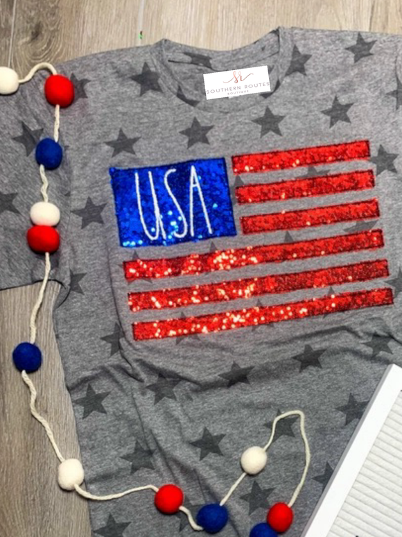 USA Flag Sequin Embroidered Tee | Grey Stars