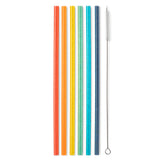 Retro Rainbow | Reusable Tall Straw Set | Swig