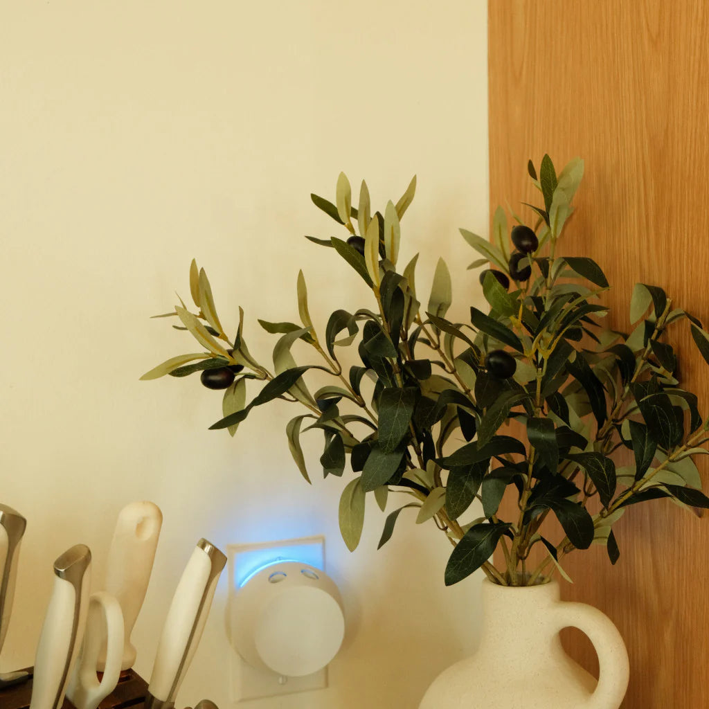 PURA Sweet Grace Smart Home Kit (Version 4)