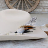 Feather Handmade Bundled Hat Accent | Zebra