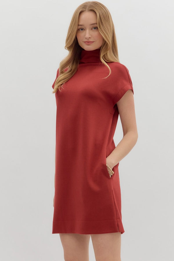 Solid Jersey Mock Neck Dress | Brick