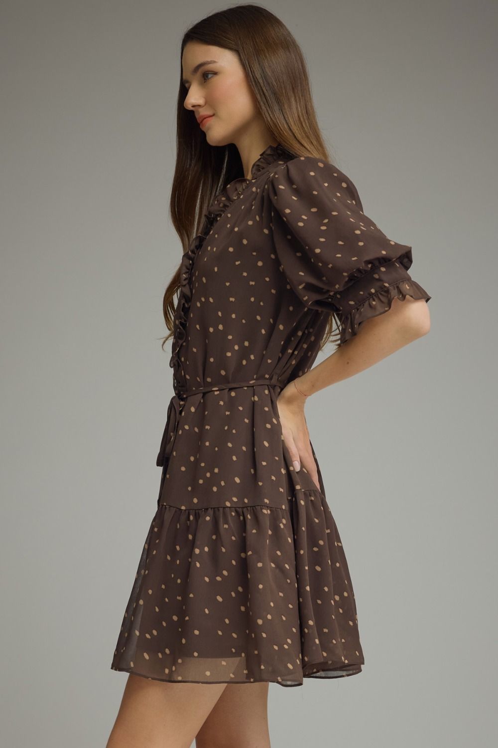 Polka Dot Ruffle Trim Dress | Brown