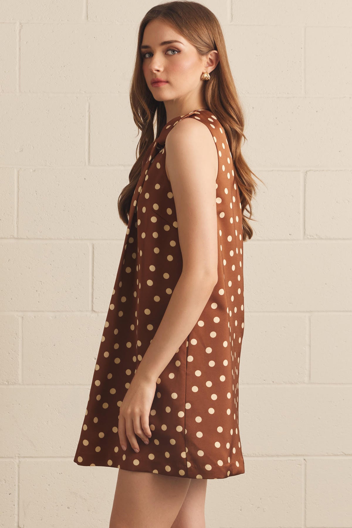 Polka Dot Bow Mini Dress | Brown